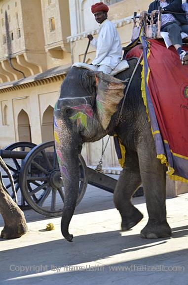 04 Fort_Amber_and Elephants,_Jaipur_DSC5057_b_H600